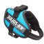 Julius-K9® IDC® Powerharness