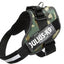 Julius-K9® IDC® Powerharness