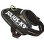Julius-K9® IDC® Powerharness