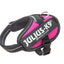 Julius-K9® IDC® Powerharness
