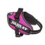 Julius-K9® IDC® Powerharness