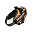 Julius-K9® IDC® Powerharness