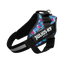 Limited Edition IDC® Powerharness
