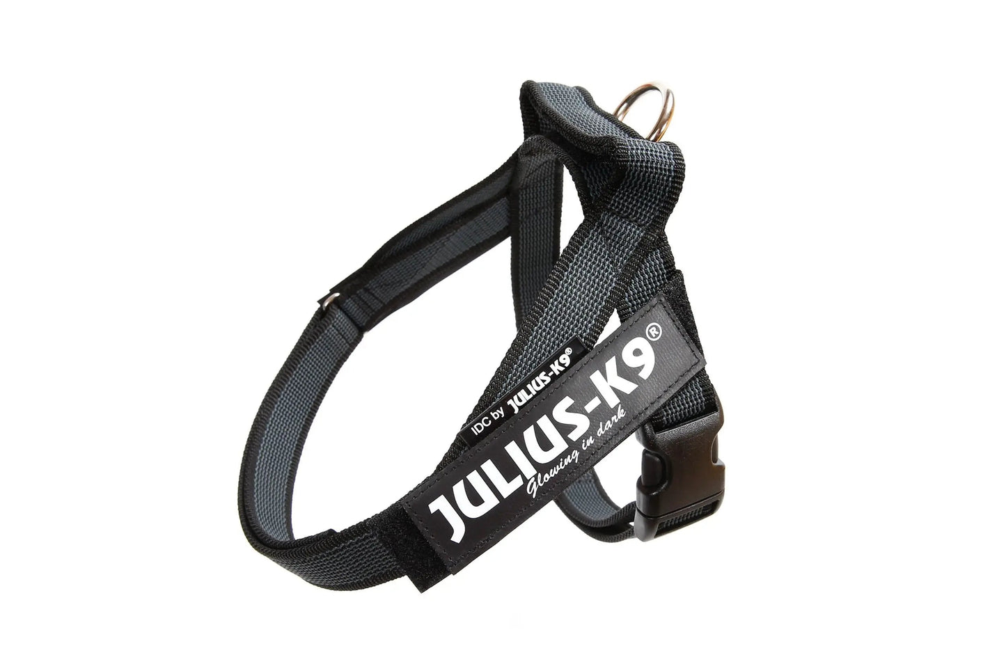 Julius-K9 IDC® Color & Gray®  Belt Harness