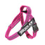 Julius-K9 IDC® Color & Gray®  Belt Harness