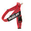 Julius-K9 IDC® Color & Gray®  Belt Harness