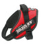 Julius-K9® IDC® Powerharness