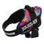 Limited Edition IDC® Powerharness