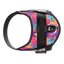 Limited Edition IDC® Powerharness
