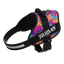 Limited Edition IDC® Powerharness