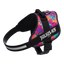 Limited Edition IDC® Powerharness