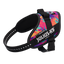 Limited Edition IDC® Powerharness