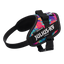 Limited Edition IDC® Powerharness