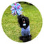 3-in-1 Bundle Enrichment Tube for Dogs - Tug Toy, Treat Dispenser & Snuffle Ball
