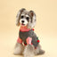 Cherry Kiss Sweater