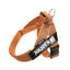Julius-K9 IDC® Color & Gray®  Belt Harness