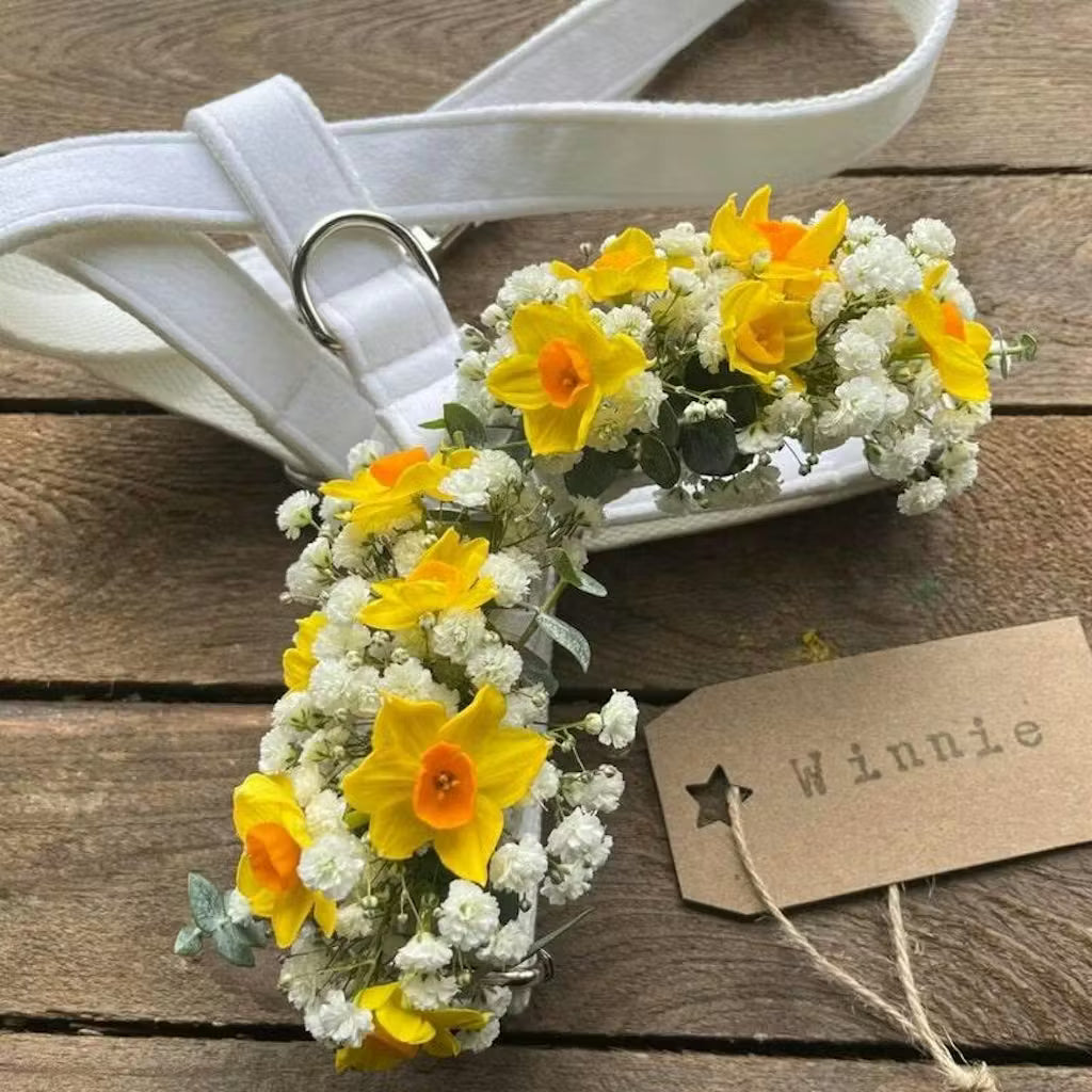 White Wedding Velvet Set