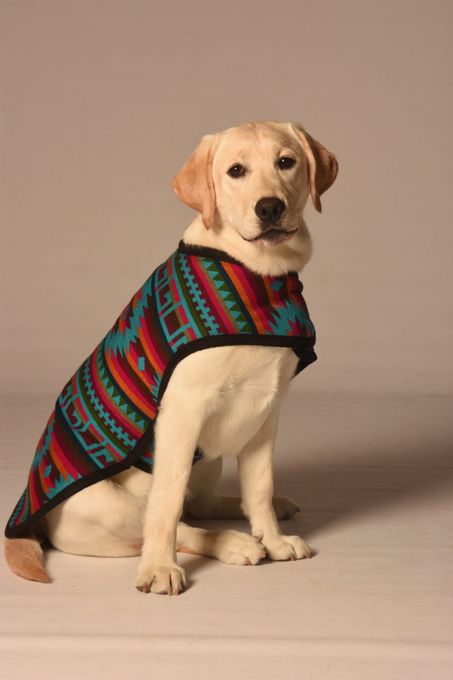 Desert Rose Blanket Dog Coat