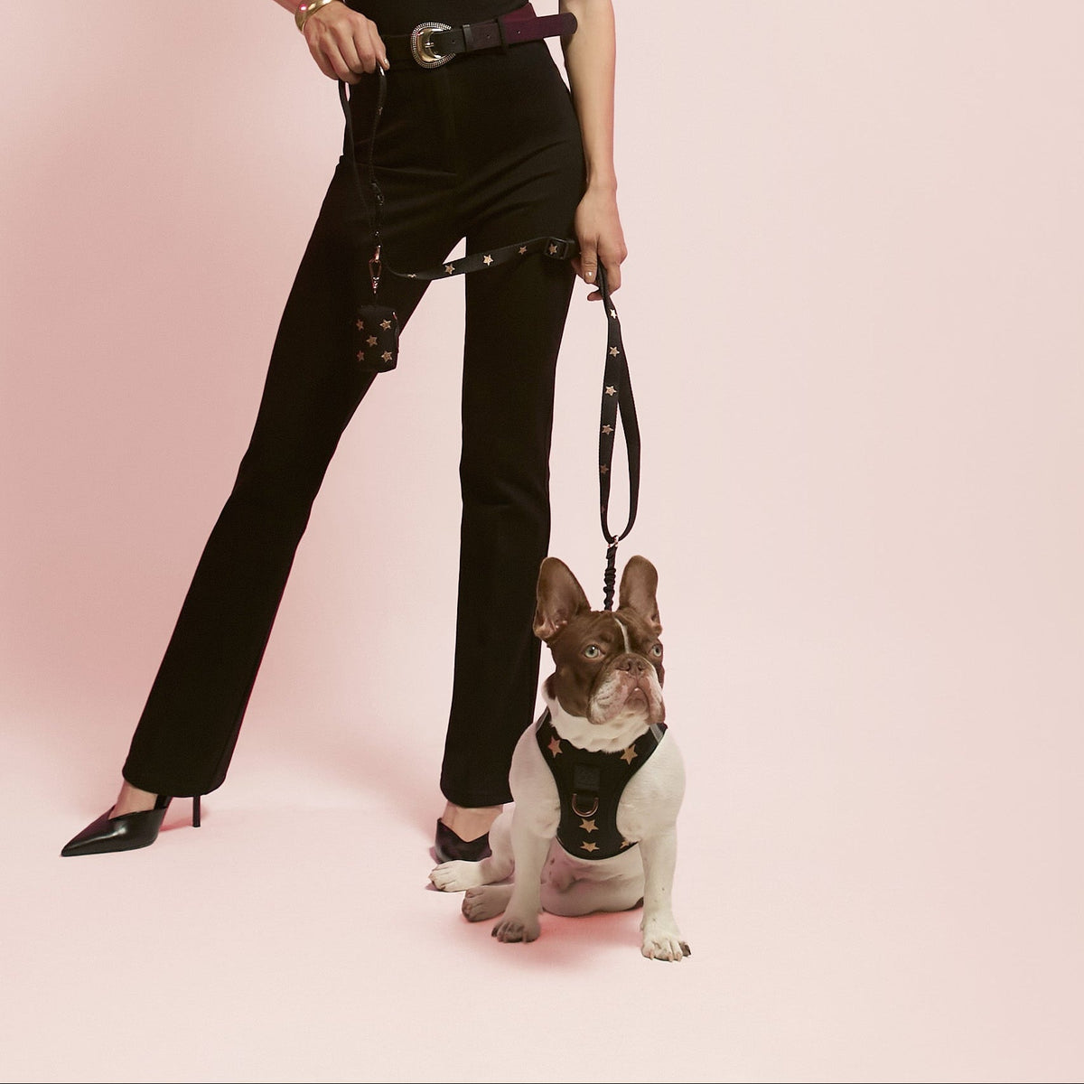 SoHo Complete Dog Walking Set - Rockstar