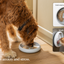 LAY LO Dog Enrichment Starter Bundle & Gift Box