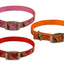 Hand Painted Leather Over Nylon Dog Collars by cuteNfuzzy