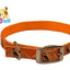 Hand Painted Leather Over Nylon Dog Collars by cuteNfuzzy