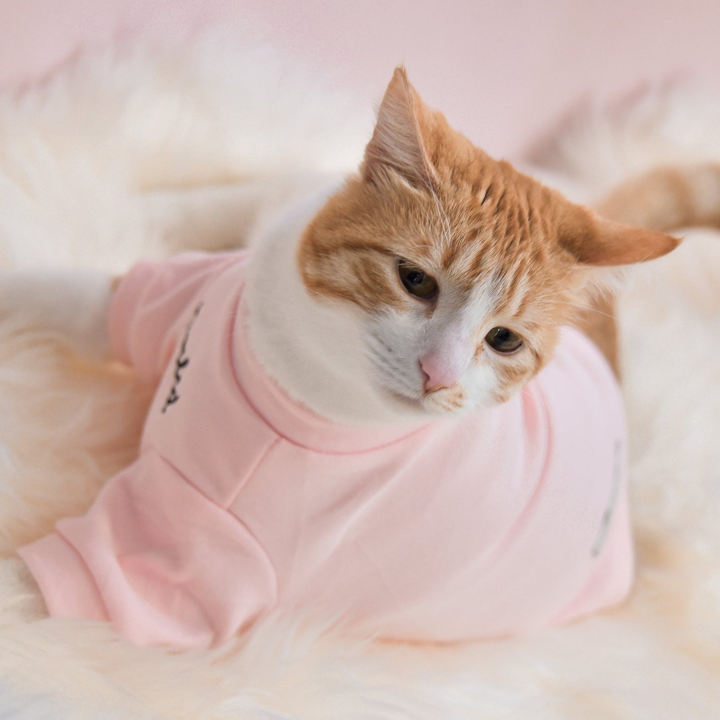 Fur Elise Spoiled Mock Neck Shirt - Blush