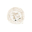 Furi Pet Hat - Bone