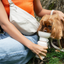Hands-Free Dog Walking Bag with 4ft Leash