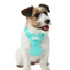 NO PULL ACTIVE  PET HARNESS - MINT GREEN
