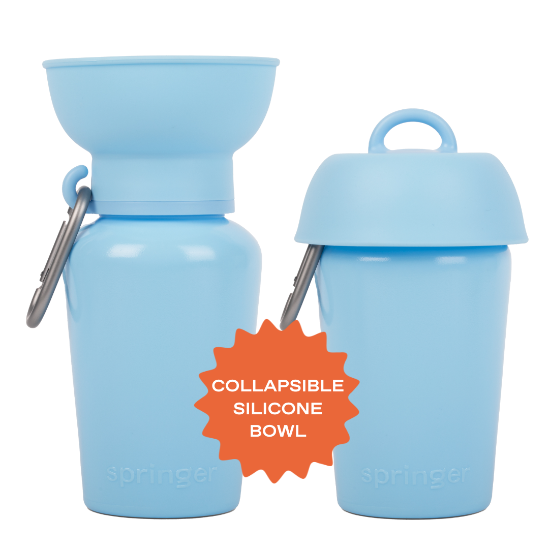 20oz Flip Travel Dog Water Bottle