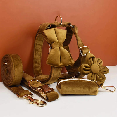 Light Coffee Velvet Set