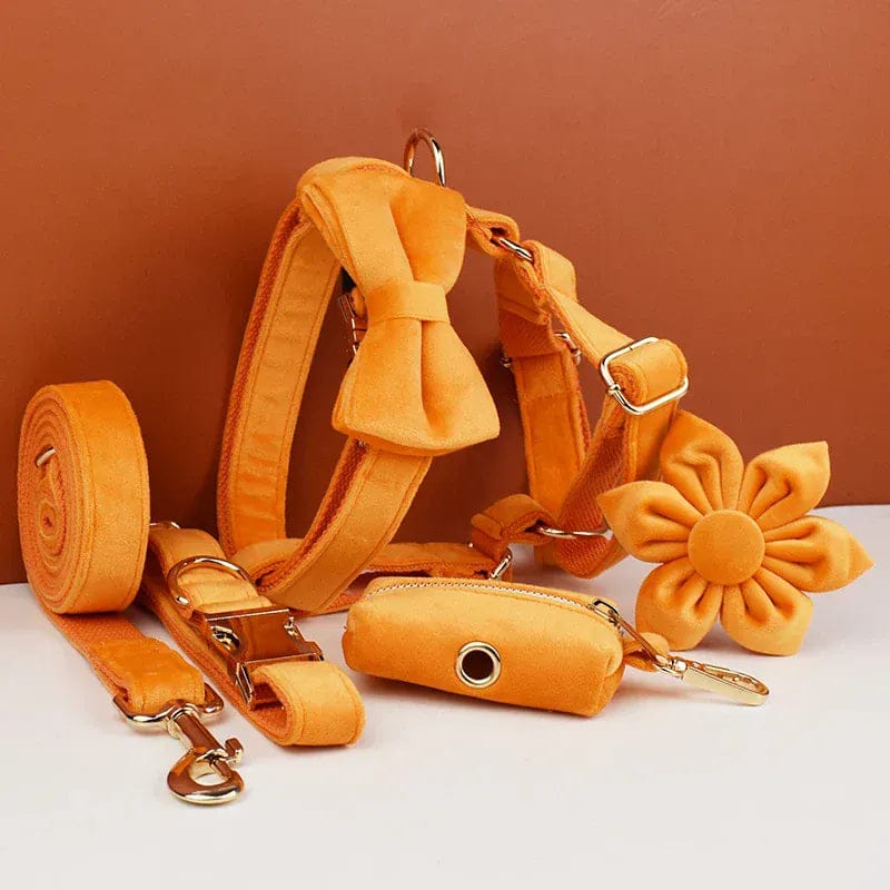 Orange Velvet Set