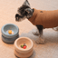 Soufflé Pet Bowl - Cream Beige