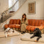 Brigette Romanek | Taupe Dog Bed or Bed Cover