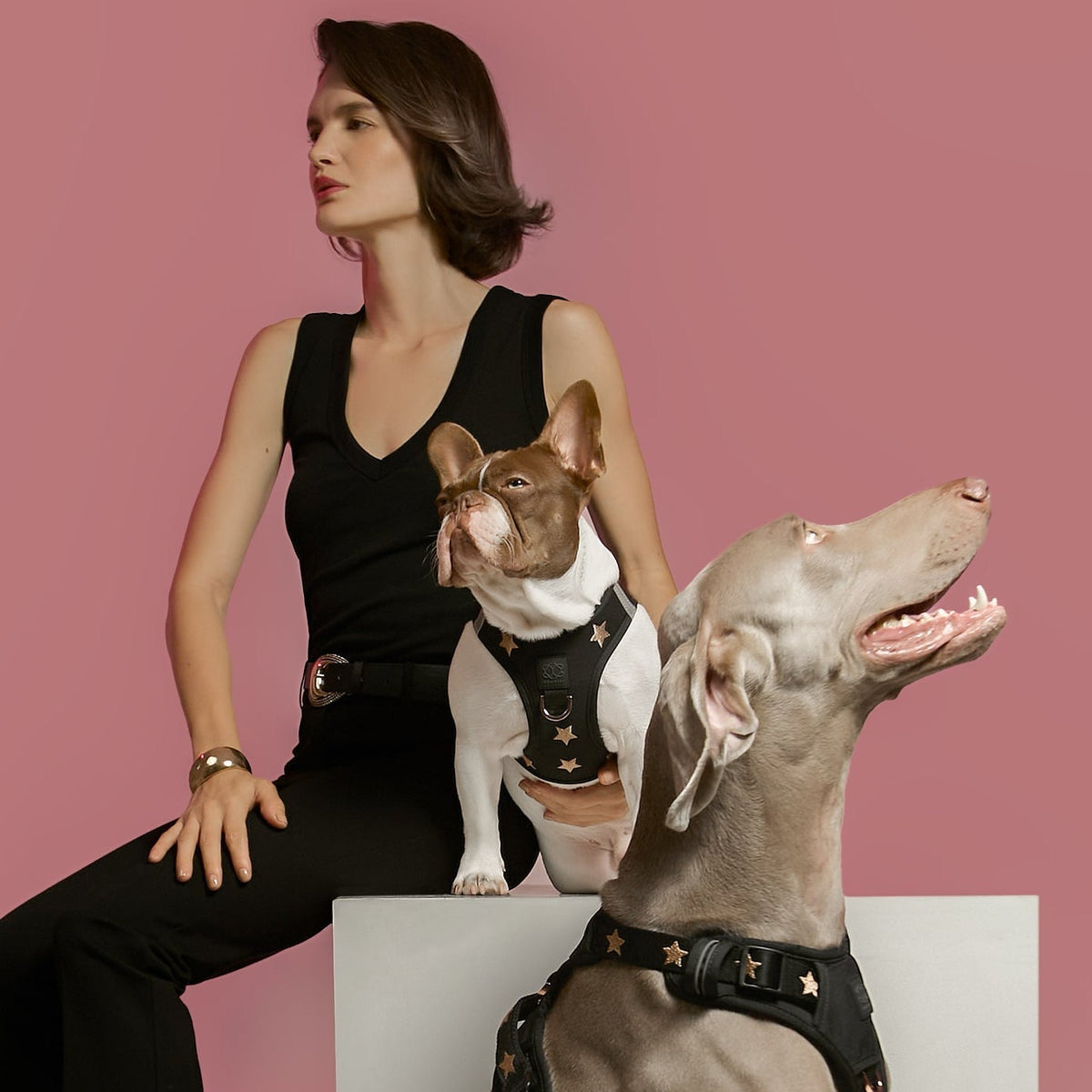 SoHo Complete Dog Walking Set - Rockstar