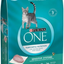 Purina One Sensitive Skin and Stomach Dry Cat Food