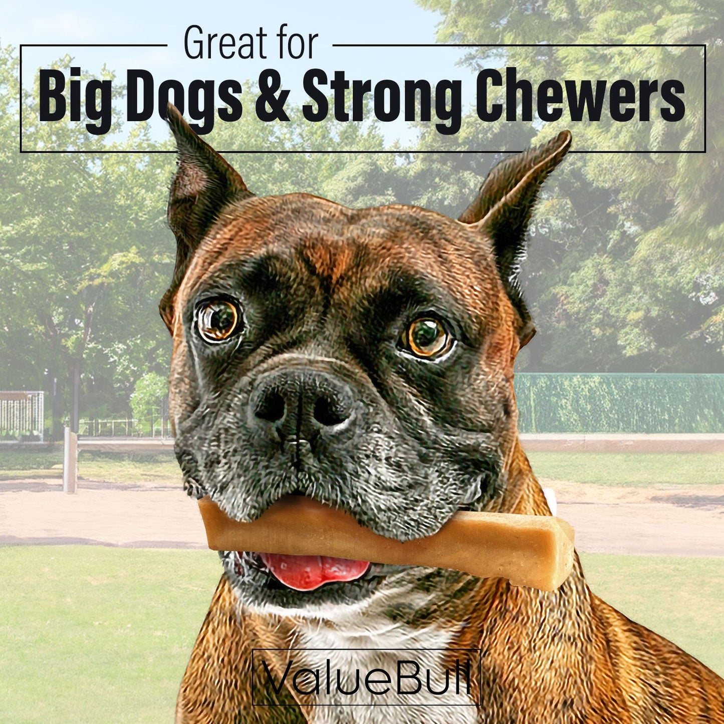 ValueBull Himalayan Yak Cheese Dog Chews, Large, 4 lb