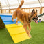Better Sporting Dogs Dog Agility A-Frame – Arrives Fully Assembled
