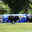 Better Sporting Dogs 3 Piece Dog Agility Equipment Set – with Jumps & Tunnel