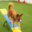 Better Sporting Dogs Practice See Saw – Fully Assembled Practice Teeter for Dog Agility Training