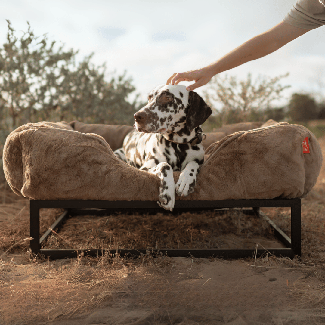 The FÜZI Elevated Dog Bed