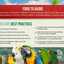 Parrot Care Fridge Magnet