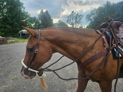 Tahoe 5/8" Natural Rawhide Braided Bosal with Rawhide Core & Leather Hanger Versatile Horse Training Gear with Classic Design & Comfortable Fit Black / Tan