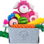 20-Piece Puppy Teething Chew Toy Set with Basket for Small & Medium Dogs