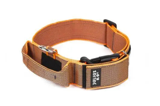 Julius-K9 Color & Gray® Collar with Handle, Safety Lock and Interchangeable Patch