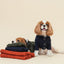 BERT CARDIGAN SWEATER - ORANGE