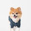 BOWERY RAINCOAT - BLUE