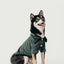 STAINWAY SHIRT - GREEN