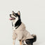 BOWERY RAINCOAT - BEIGE